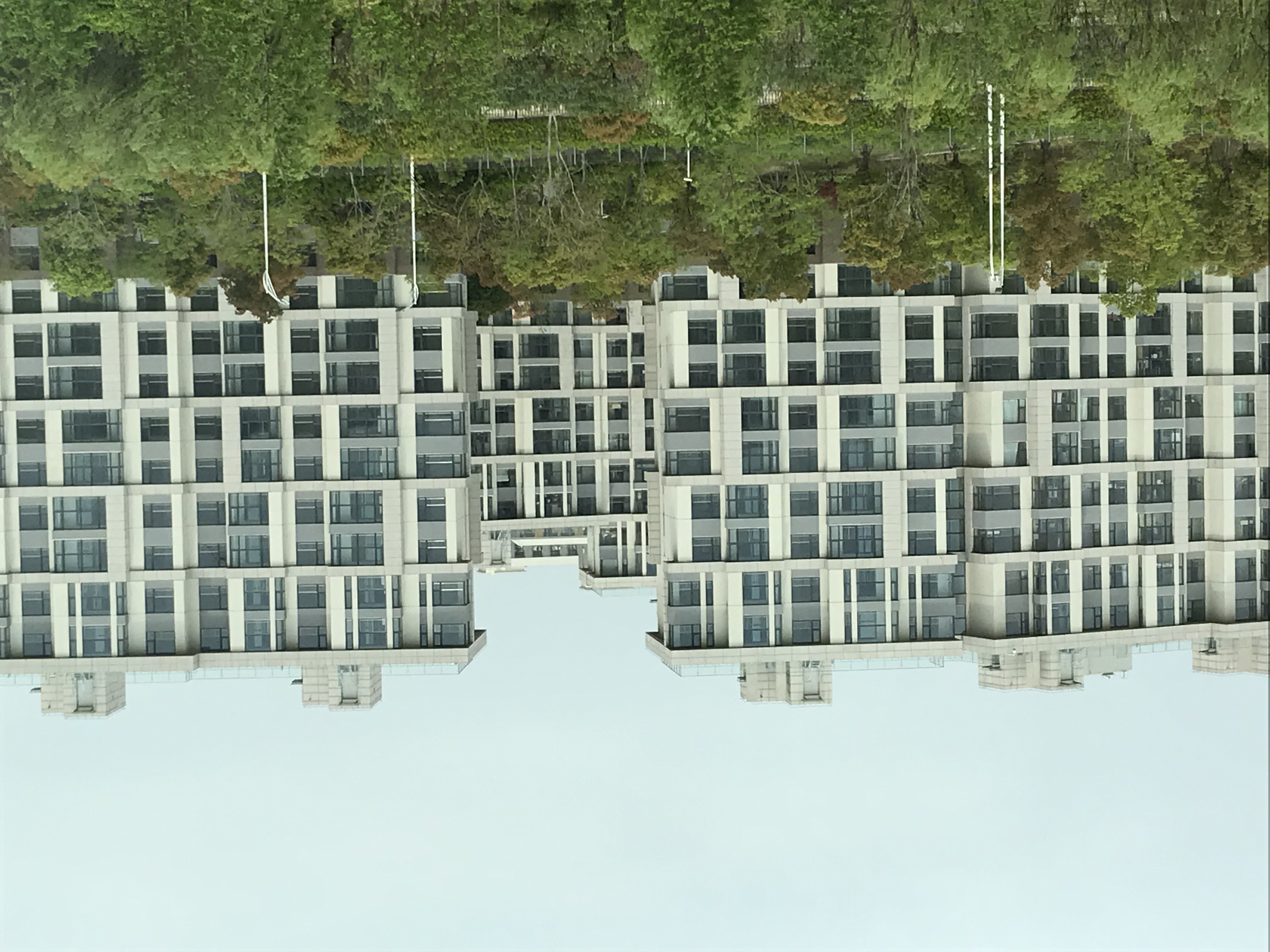 ./2018/03 - Viking China/22 - Shanghai Day 1/IMG_9695.JPG